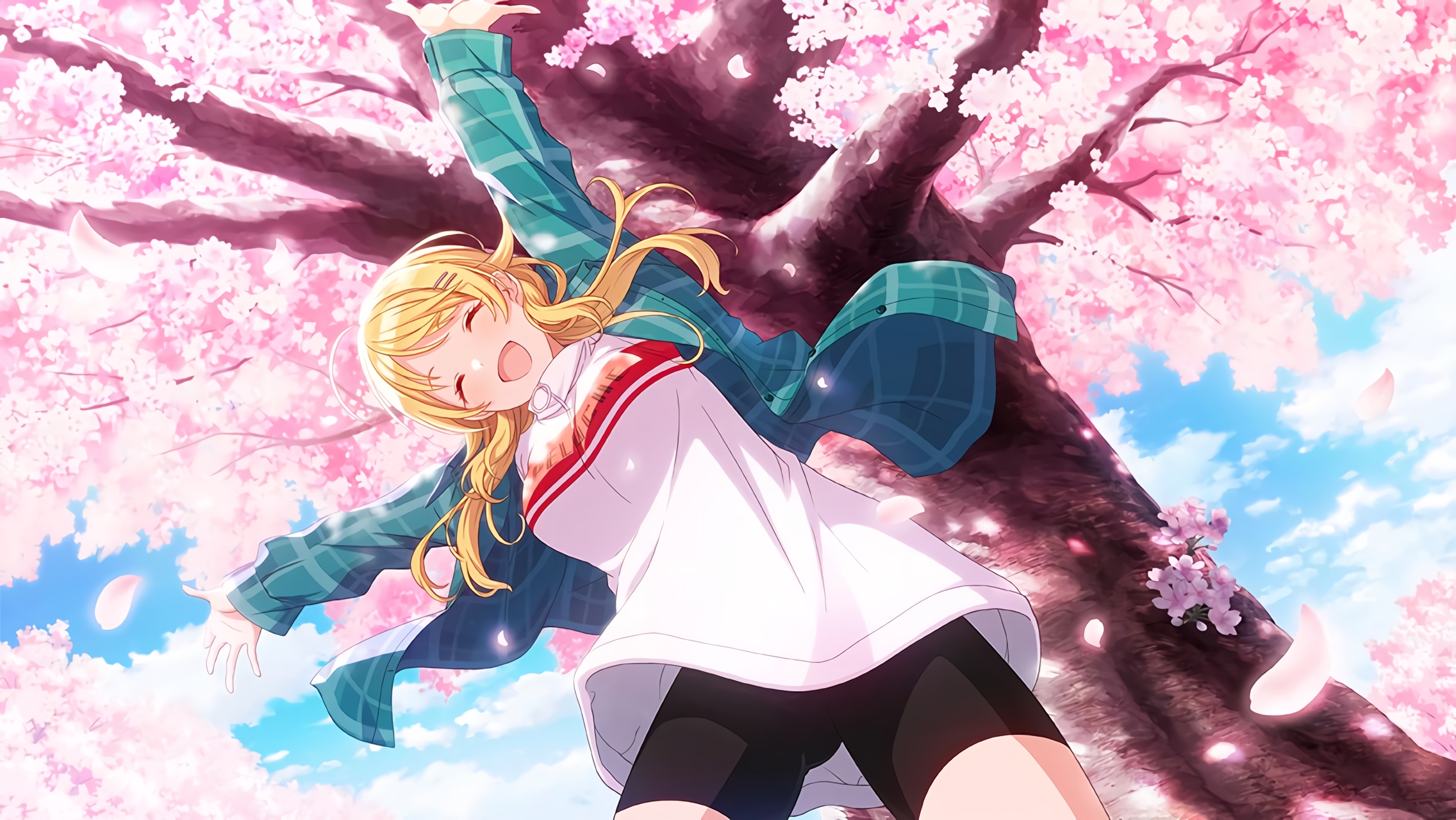 Picture of 【ハロー・ワールド】八宮めぐる