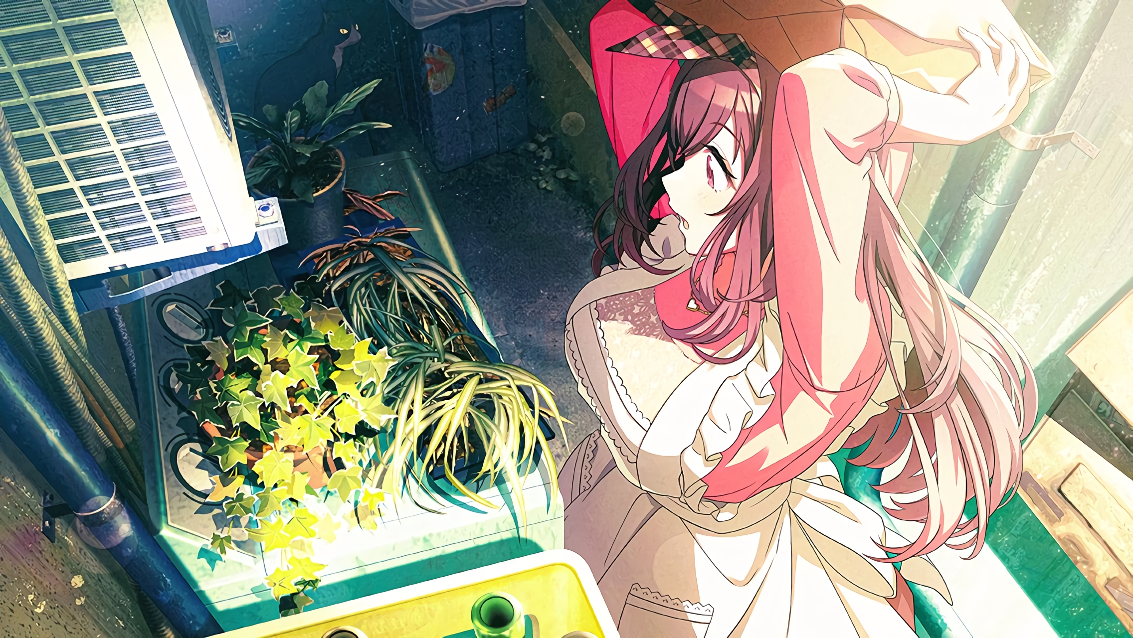 Picture of 【猫道カントリー】月岡恋鐘