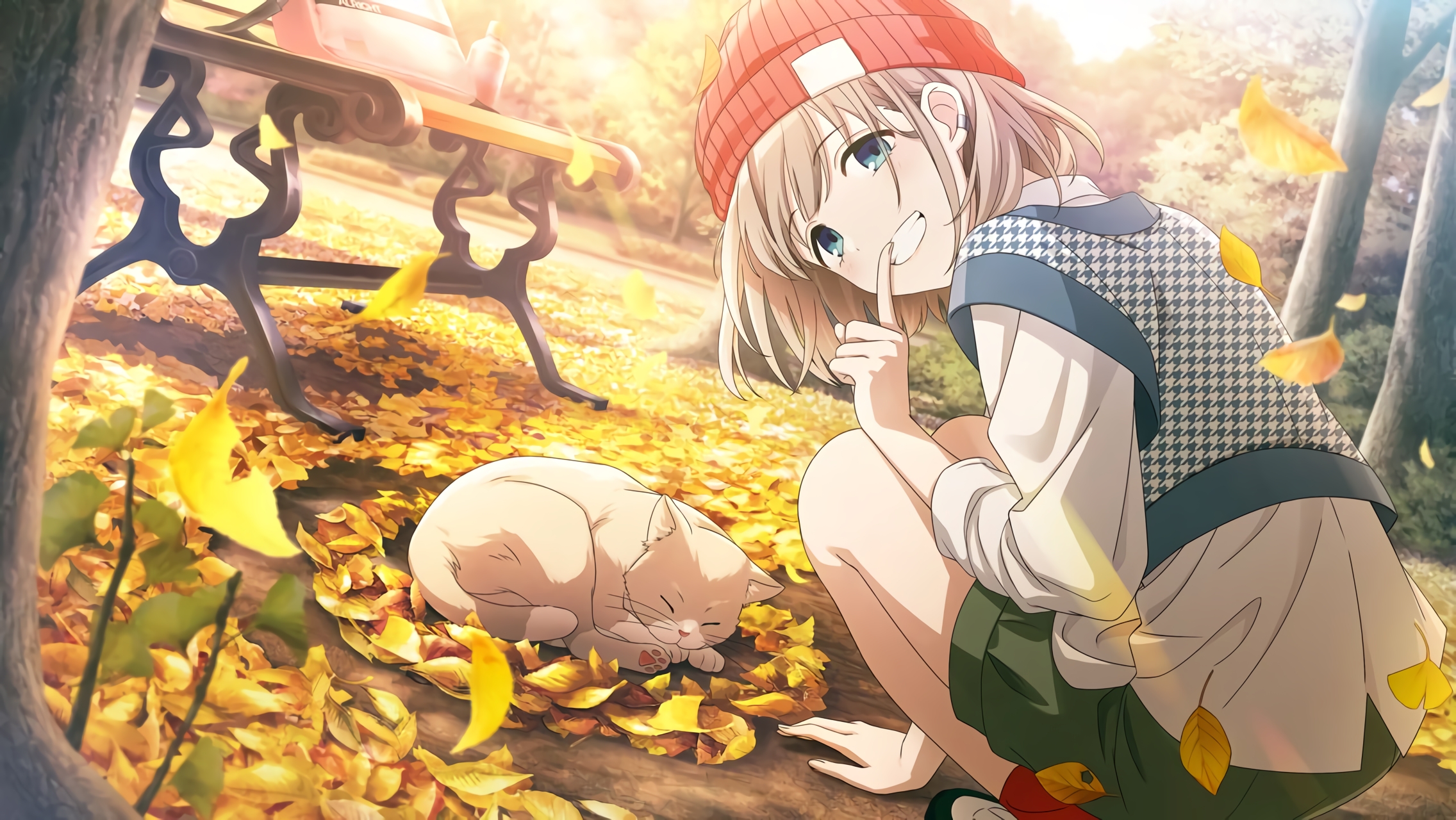 Picture of 【黄葉の冠】芹沢あさひ