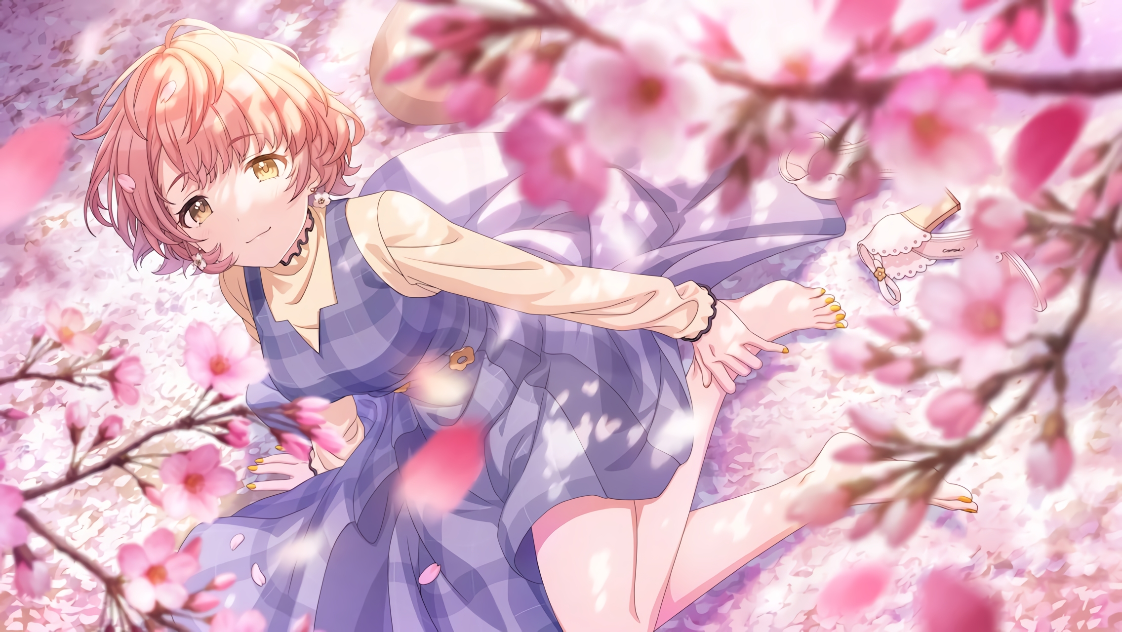 Picture of 【連綿と、桜】郁田はるき