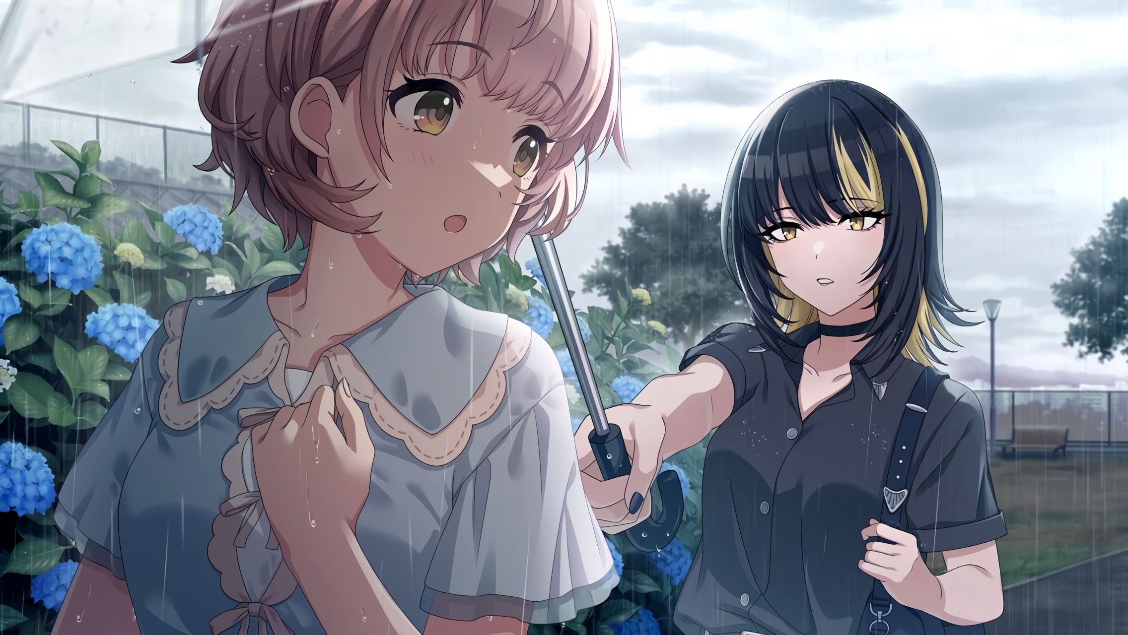 Picture of 【雨音の余白】郁田はるき