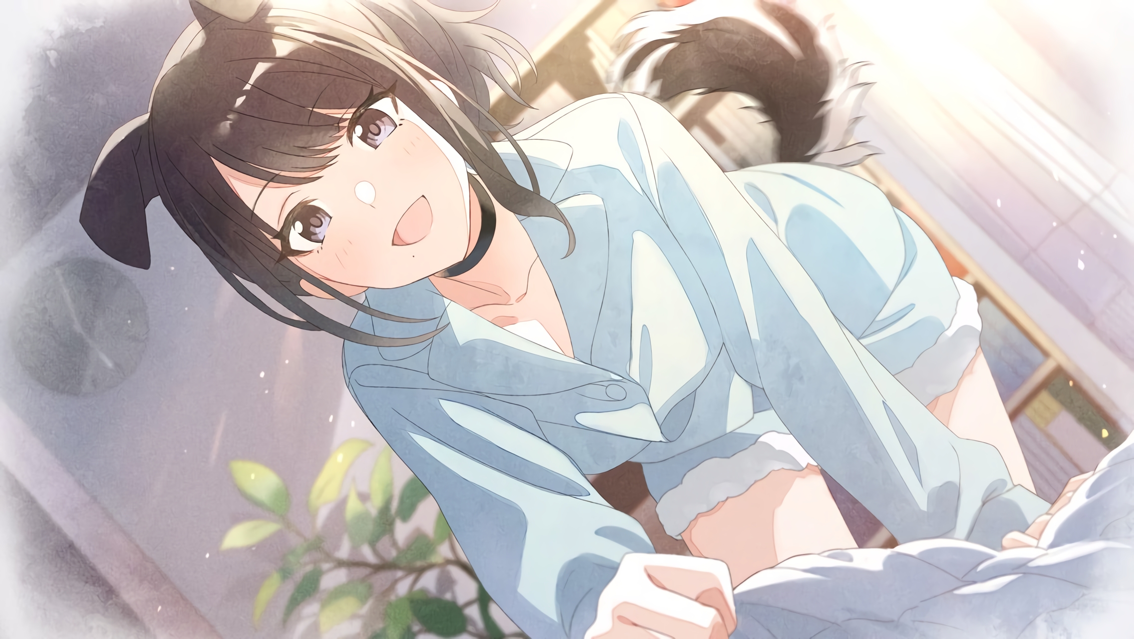 Picture of 【ひとりと一匹ワンルーム】風野灯織